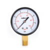 Pressure gauge with case in carbon steel