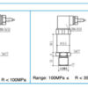 High-Pressure Pressure Transmitter 3 High-Pressure Pressure Transmitter